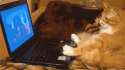 1409957765917.gif