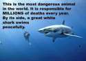 Relative Levels of Danger.jpg