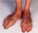 hobbit_feet1.jpg