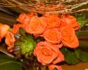Orange roses a.jpg