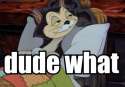 Dude - What.jpg