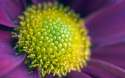 00233_springinwinter.jpg