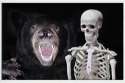 scariest picture in the world.jpg