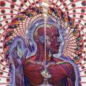 lateralus_inside.jpg