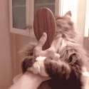 1408205455839.gif