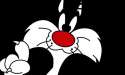 Sylvester-008.jpg