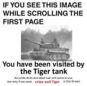 tig-1442245441001.jpg