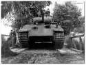 pan-Waffen-SS-PANTHER-Viking-Division.jpg