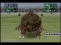 Golem Uses Mud Slap.gif