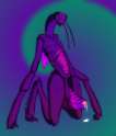 0d4c394c7f34aa8de7dc3e6805b7137f.png