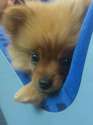 1414926337855.jpg