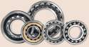 bearings-group[1].png
