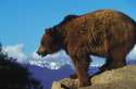 bearmountain.jpg