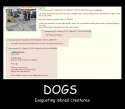 DogsAreForBetas.jpg