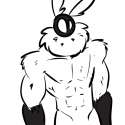 swol.png