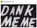 donk.png