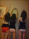 asses.jpg