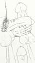 Untitled_001_002.jpg