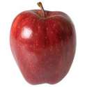 apple.jpg