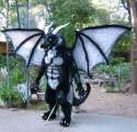 darklurker_wings_by_LilleahWest.jpg