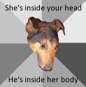 Inside my head.jpg