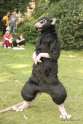 pox__straight_to_my_thighs_by_chikkennoodul-d5fs6w5.jpg