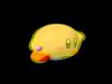 image.gif