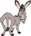 3127617-donkey.jpg