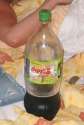 Coke Light.jpg