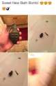 bath bomb.jpg