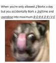 BORKOVERDRIVE.jpg