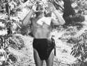 tarzan-yell_6.jpg