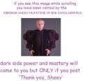 1446441198117.jpg