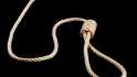 noose-iStock_000001228011XS.jpg