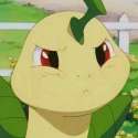 Buffed Bayleef.jpg