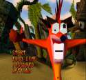 crash bandicoot.jpg