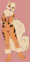 Arcanine27.jpg
