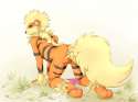 Arcanine52.png