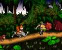 dkc_05.gif