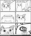 Curiosity.gif