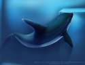 1421830715.taesolieroy_dream_dolphins-little_onesmall.png