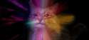 H8m98k3.gif