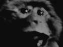 389366_v1.gif