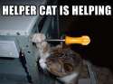 i can help.jpg