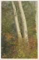 Birch Trees in Autumn, 1865 - Frederich Edwin Church.jpg