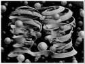 Bond of Union, 1956 - M.C. Escher.jpg