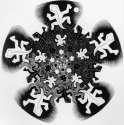 Development II, 1939 - M.C. Escher.jpg
