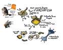 cat wormhole.jpg