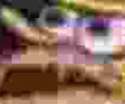 1463796120378.jpg