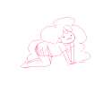 pinis.png